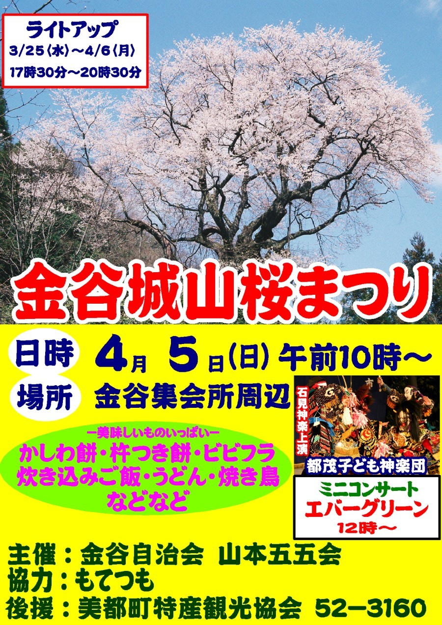 島根県益田市の桜・お花見イベント「金谷城山桜まつり」のチラシ