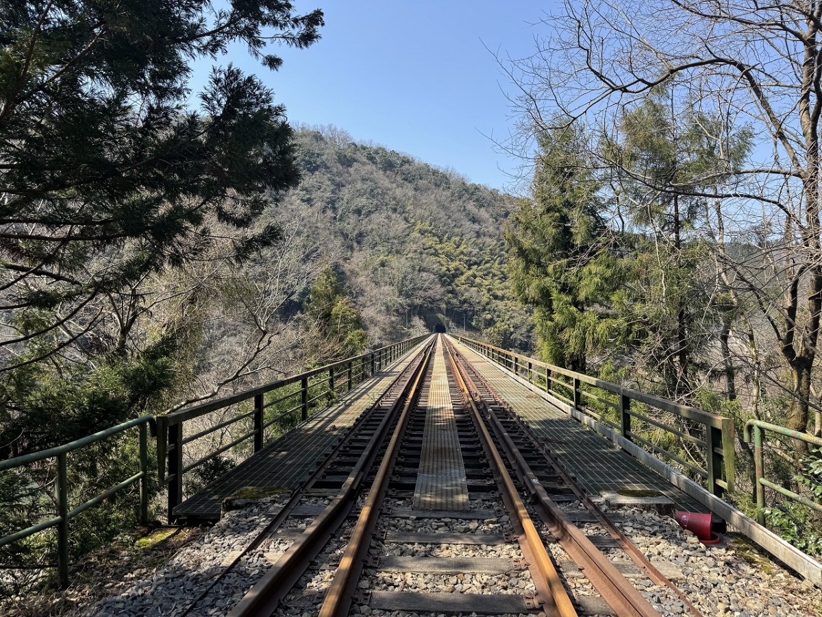 島根県邑南町のレジャー「トロッコ乗車体験」の乗車中の風景