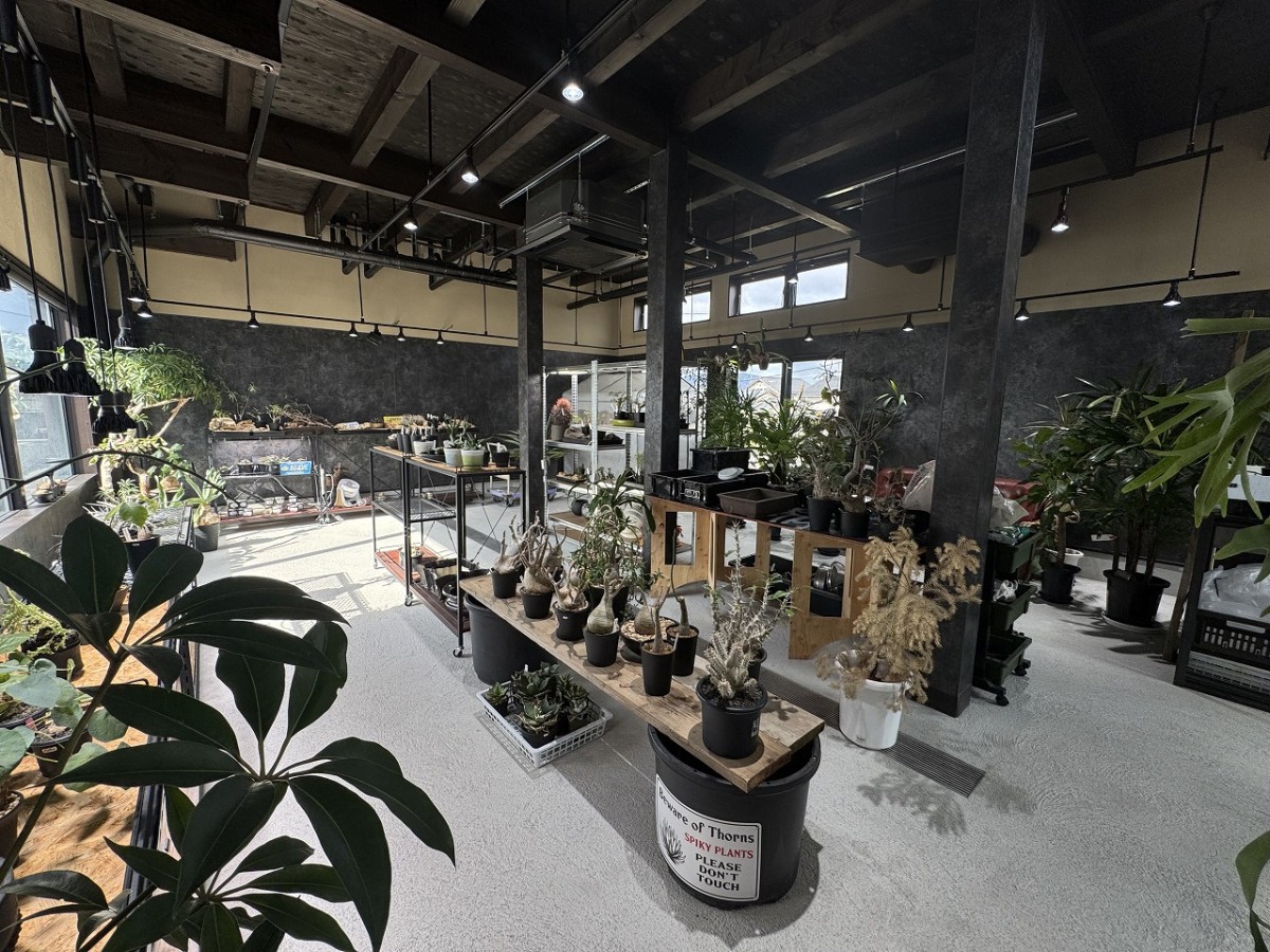 島根県出雲市にあるプラントショップ『Collect Base.str（コレクトベース）』の店内