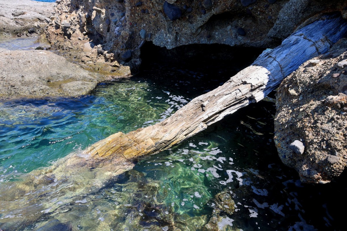島根県大田市『波根西海岸』にある樹木化石「波根西の珪化木(はねにしのけいかぼく)」