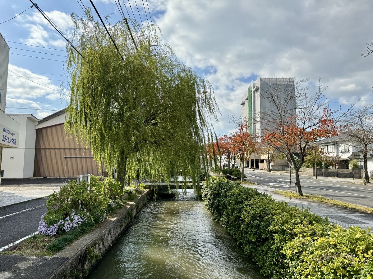 島根県出雲市の高瀬川の様子