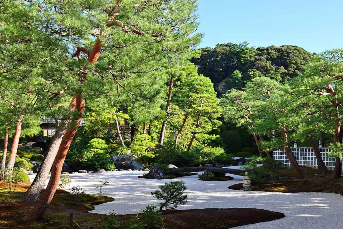 島根県安来市『足立美術館』の日本庭園