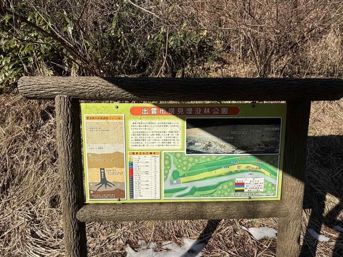 出雲市佐田町にある公園『横見埋没林公園（よこみまいぼつりんこうえん）』