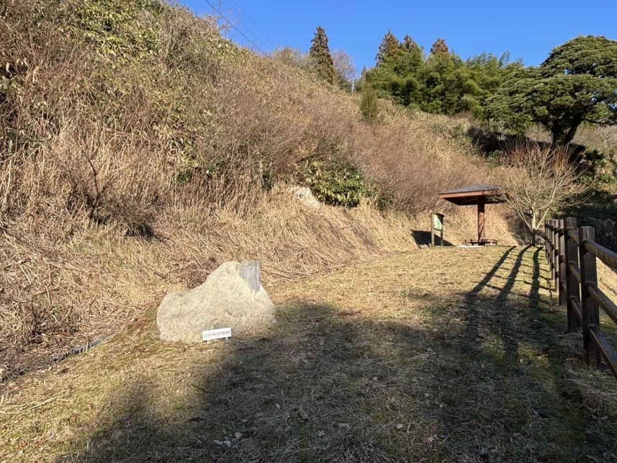 出雲市佐田町にある公園『横見埋没林公園（よこみまいぼつりんこうえん）』