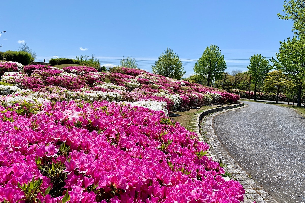 米子市_遊具_公園_弓ヶ浜公園