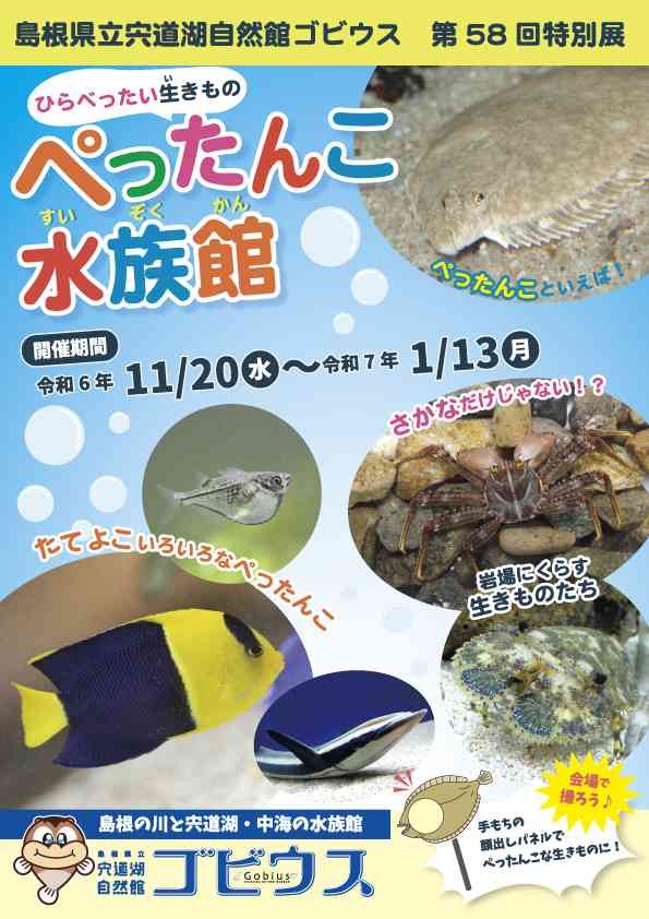 島根県出雲市のイベント「【ゴビウス】第58回特別展「ぺったんこ水族館」」のチラシ