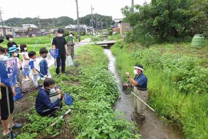 鳥取県倉吉市のイベント「自然ウォッチング④おさかな教室」のイメージ