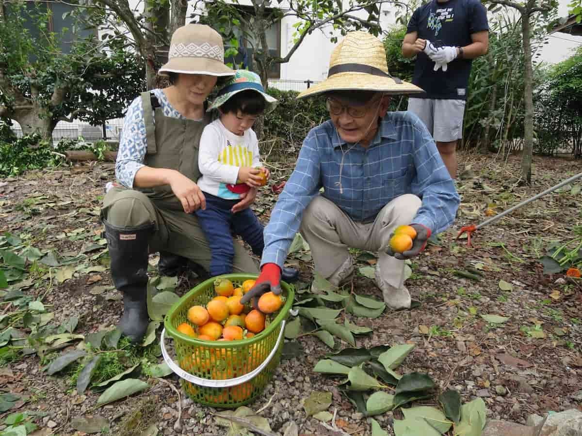 島根県鹿足郡津和野町で開催された「津和野とんぎりプロジェクト」の様子