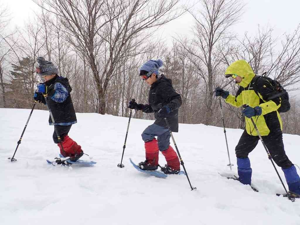 鳥取県八頭郡若桜町のイベント「【要予約】スノーシューハイク」のイメージ