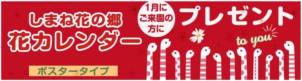 島根県出雲市のイベント「新年プレゼント企画」のチラシ