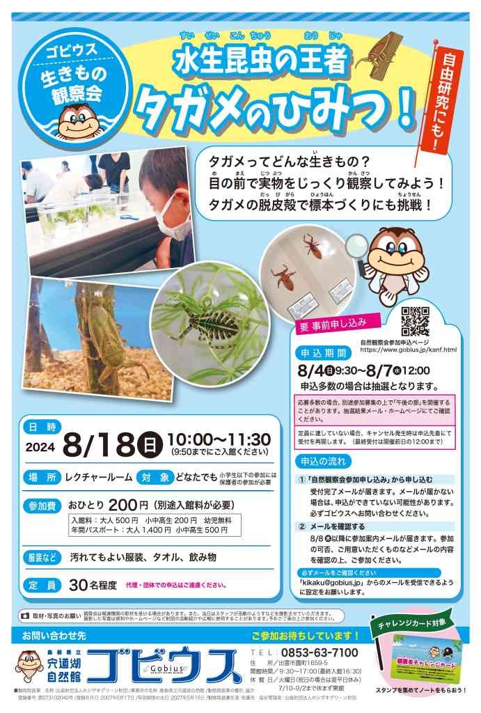 島根県出雲市のイベント「【要予約】ゴビウス生きもの観察会「水生昆虫の王者 タガメのひみつ！」」のチラシ