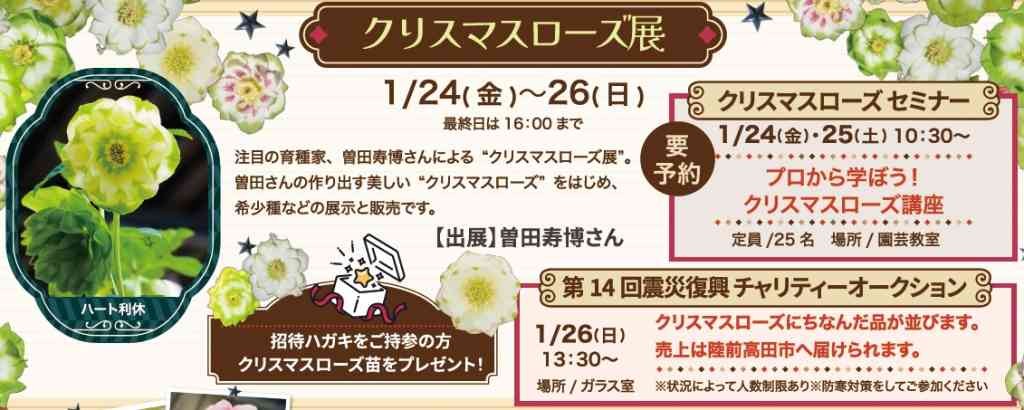 震災復興クリスマスローズチャリティーオークション（島根県出雲市）のチラシ