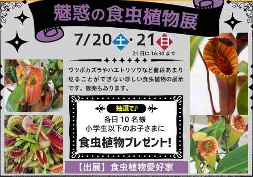 島根県出雲市のイベント「魅惑の食虫植物展」のチラシ