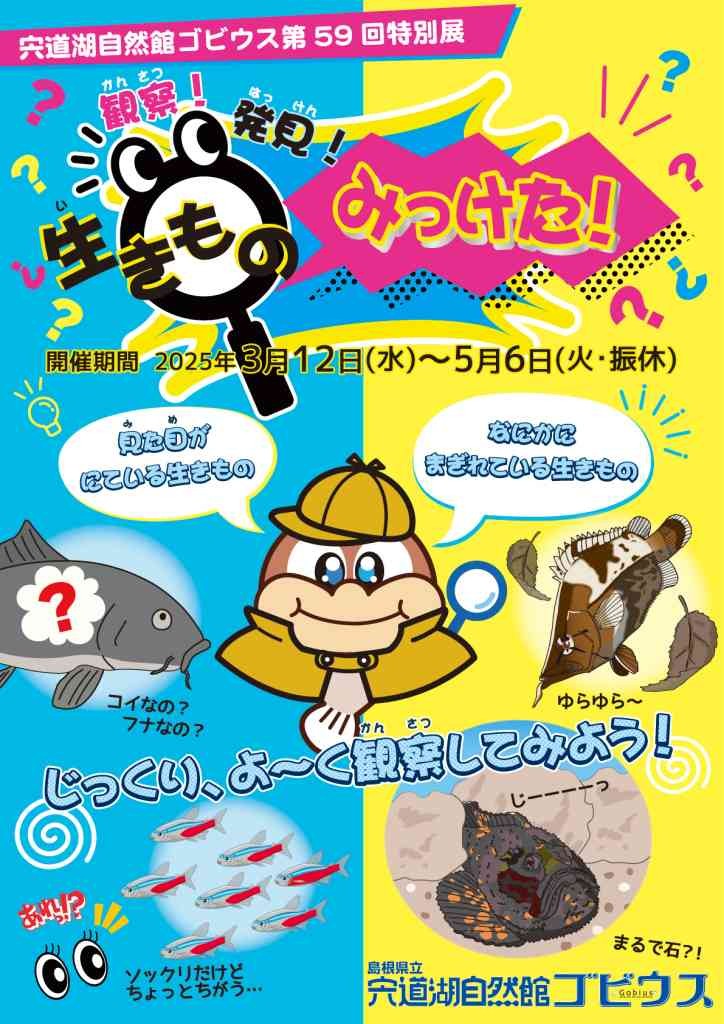 島根県出雲市のイベント「【ゴビウス】第59回特別展「観察！発見！生きものみっけた！」」のチラシ