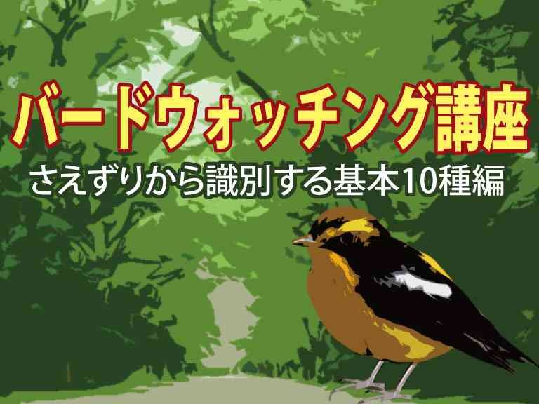 島根県大田市のイベント「【要予約】バードウォッチング講座～さえずりで鳥を識別：基本10種編～」のチラシ
