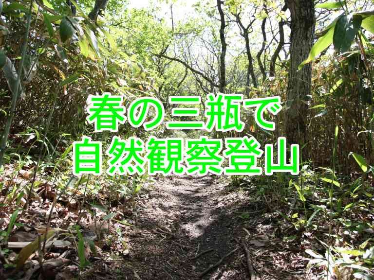 島根県大田市のイベント「【要予約】春の三瓶で自然観察登山」のチラシ