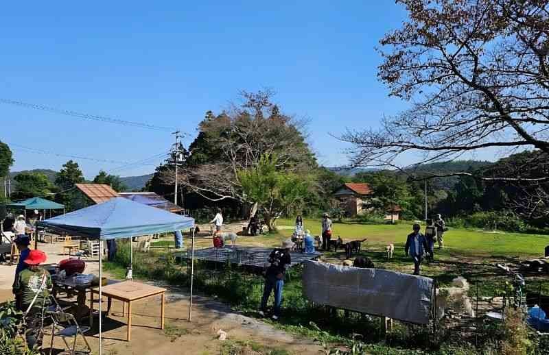 島根県大田市のイベント「【愛犬家集まれ！】空庭ドッグイベント」のイメージ