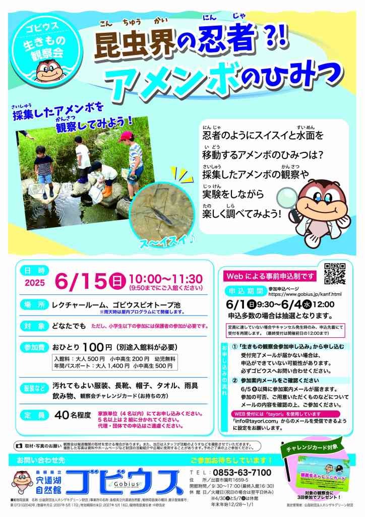 島根県出雲市のイベント「【要予約】ゴビウス生きもの観察会「昆虫界の忍者？！アメンボのひみつ」」のチラシ