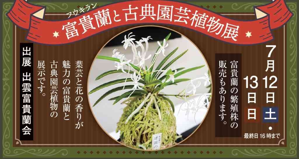 島根県出雲市のイベント「富貴蘭と古典園芸植物展」のチラシ