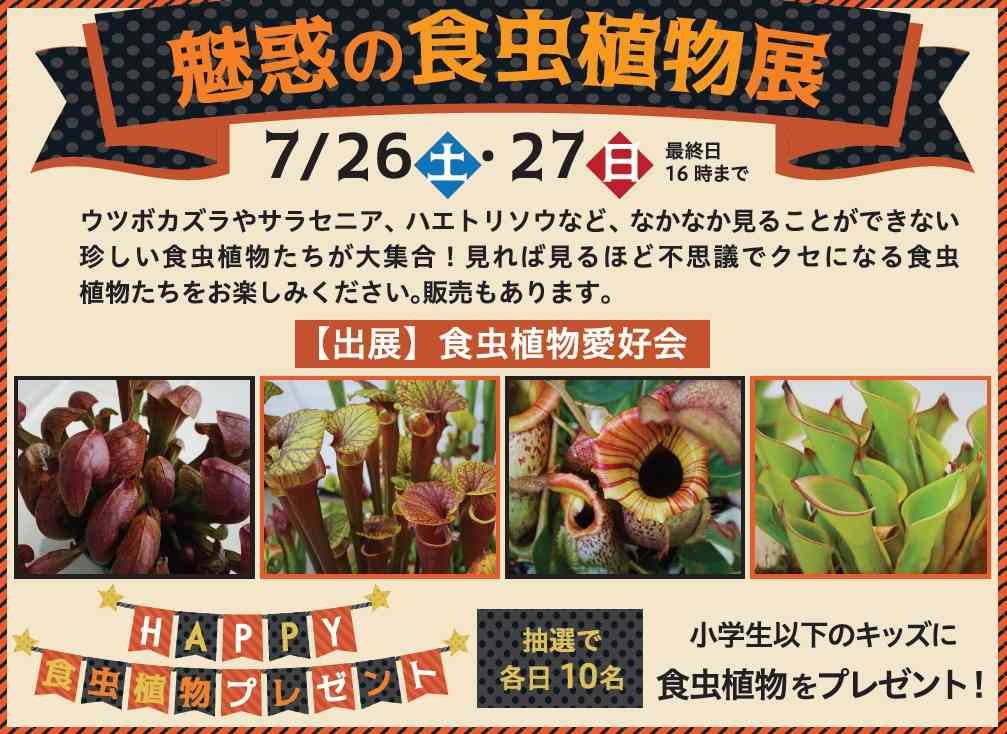 島根県出雲市のイベント「魅惑の食虫植物展」のチラシ