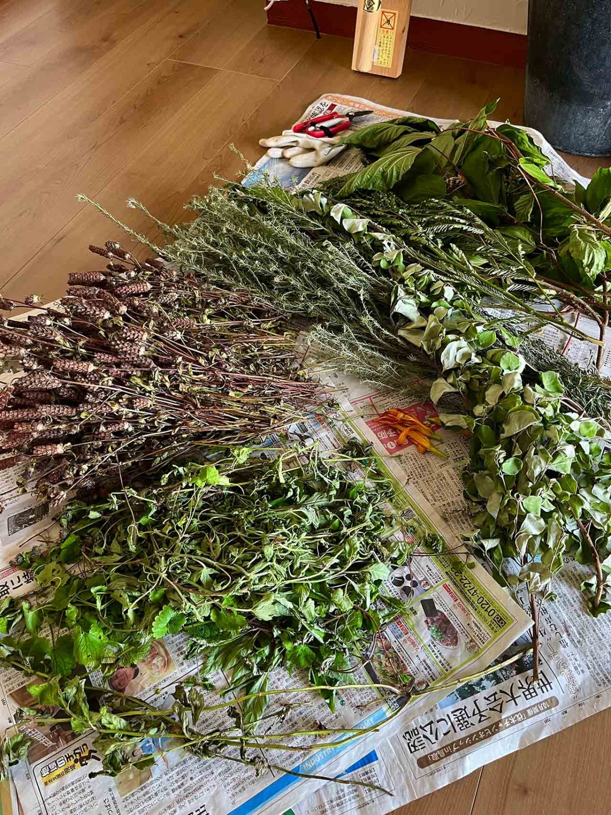 島根県出雲市にオープンしたカフェ『和herb cafe&amp;lab 8mon』のハーブ