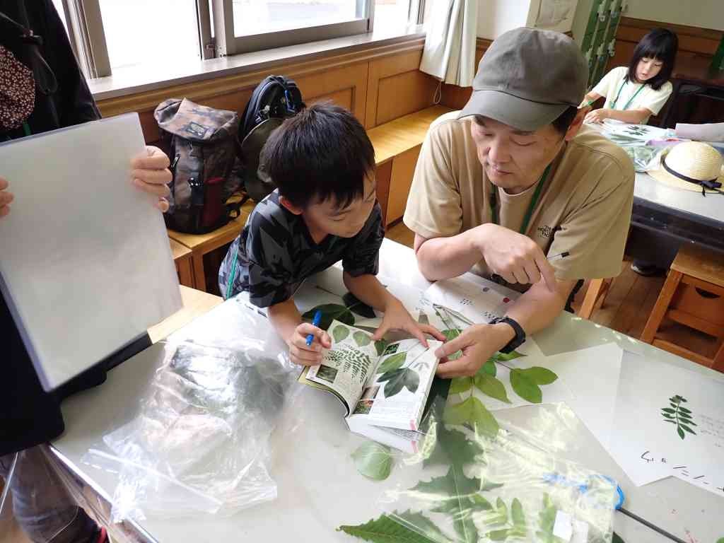 鳥取県八頭郡若桜町のイベント「【要予約】親子自然研究クラブ「葉っぱ図鑑を作ろう」」のイメージ