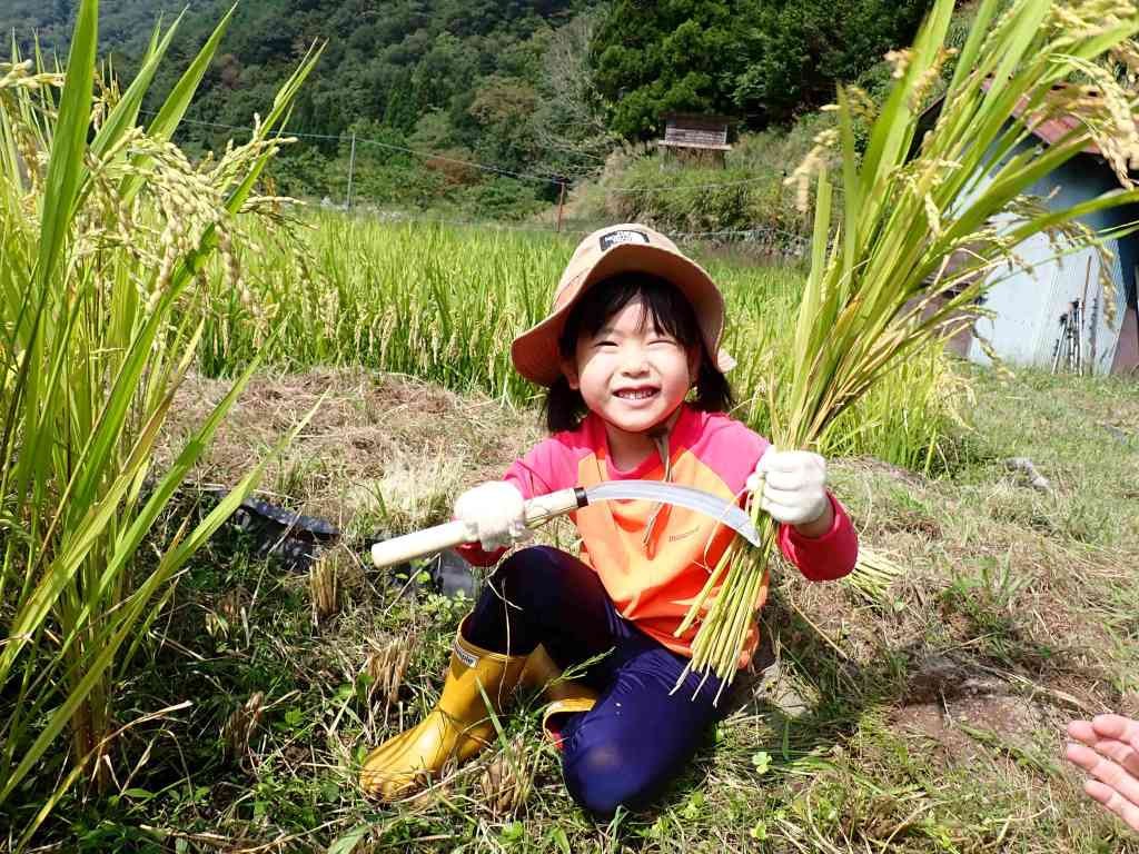 鳥取県八頭郡若桜町のイベント「【要予約】棚田プロジェクト（稲刈り）」のイメージ