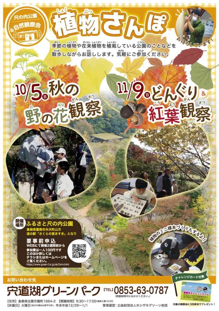 島根県雲南市のイベント「【要予約】ふるさと尺の内公園自然観察会「植物さんぽ 秋の野の花観察」」のチラシ
