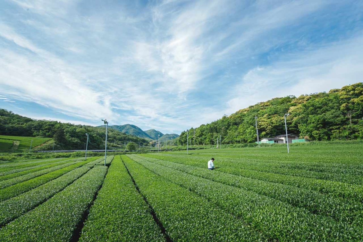 島根県出雲市の抹茶スタンド『出雲茶寮 藤』