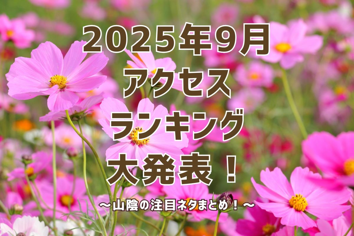 アクセスランキングのイメージ写真