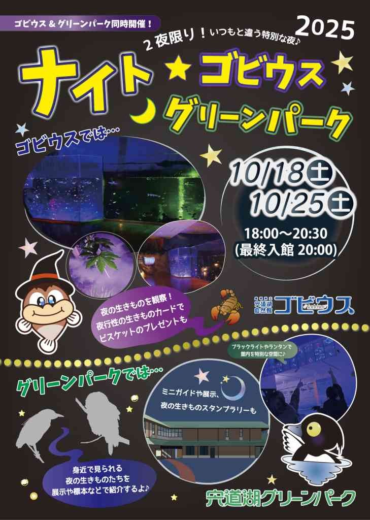 島根県出雲市のイベント「ナイト★ゴビウス2025」のチラシ