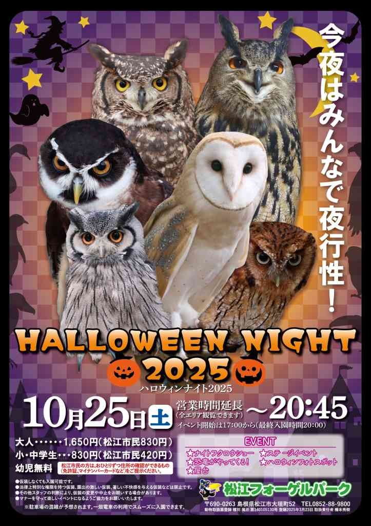 島根県松江市のイベント「ハロウィンナイト2025」のチラシ
