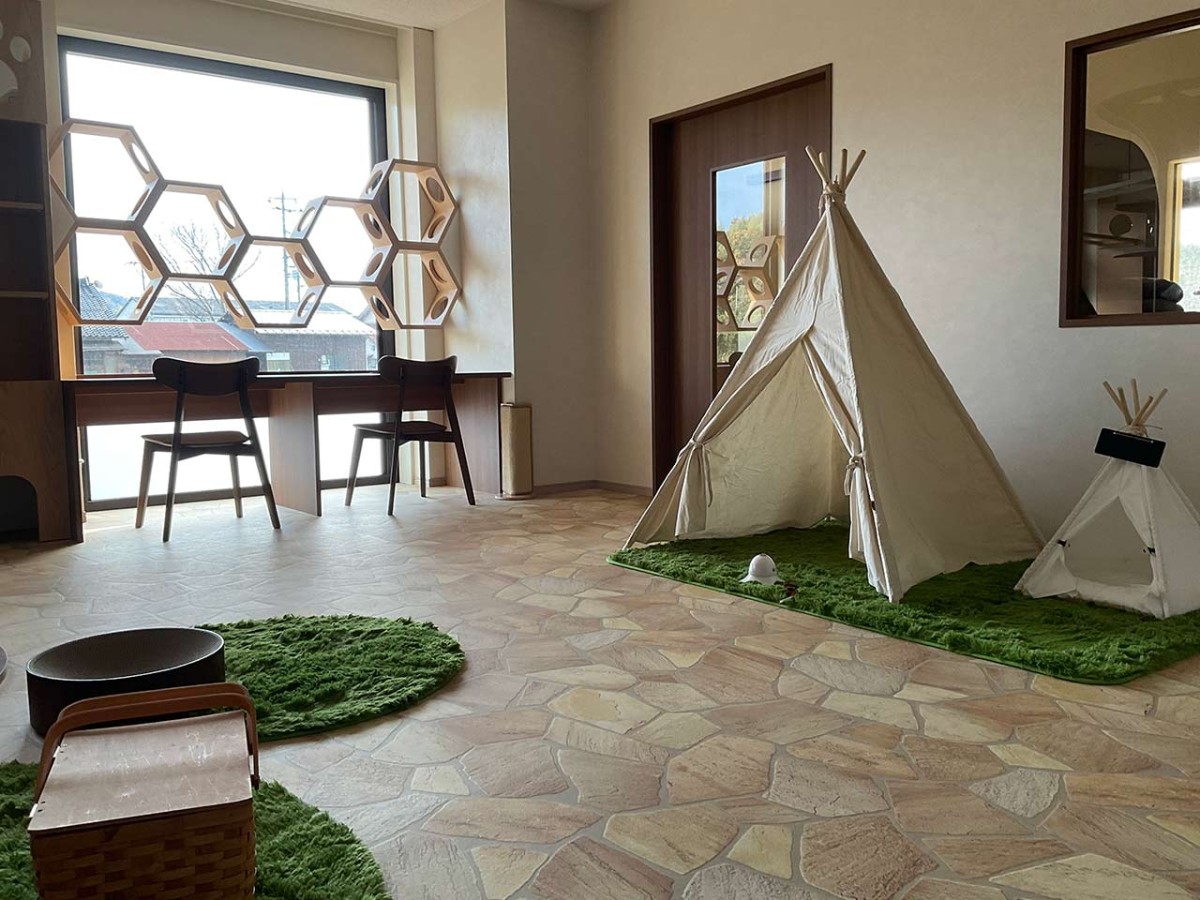 島根県松江市にオープンした『猫猫の森』の内観