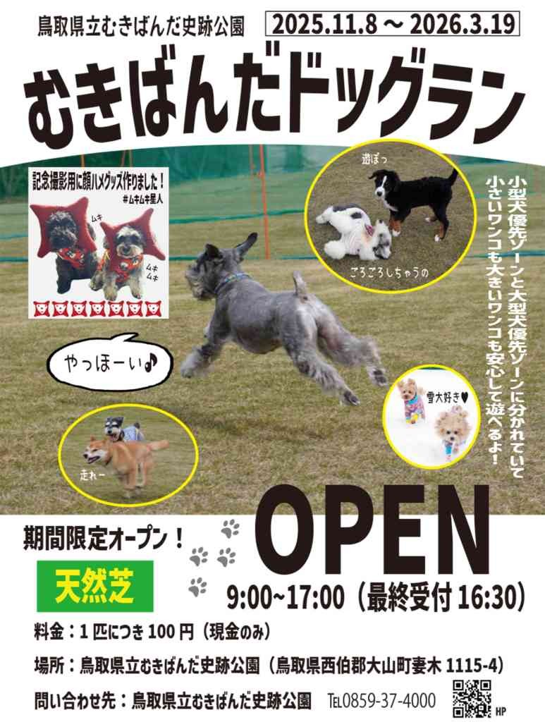 鳥取県西伯郡大山町のイベント「むきばんだドッグラン」のチラシ