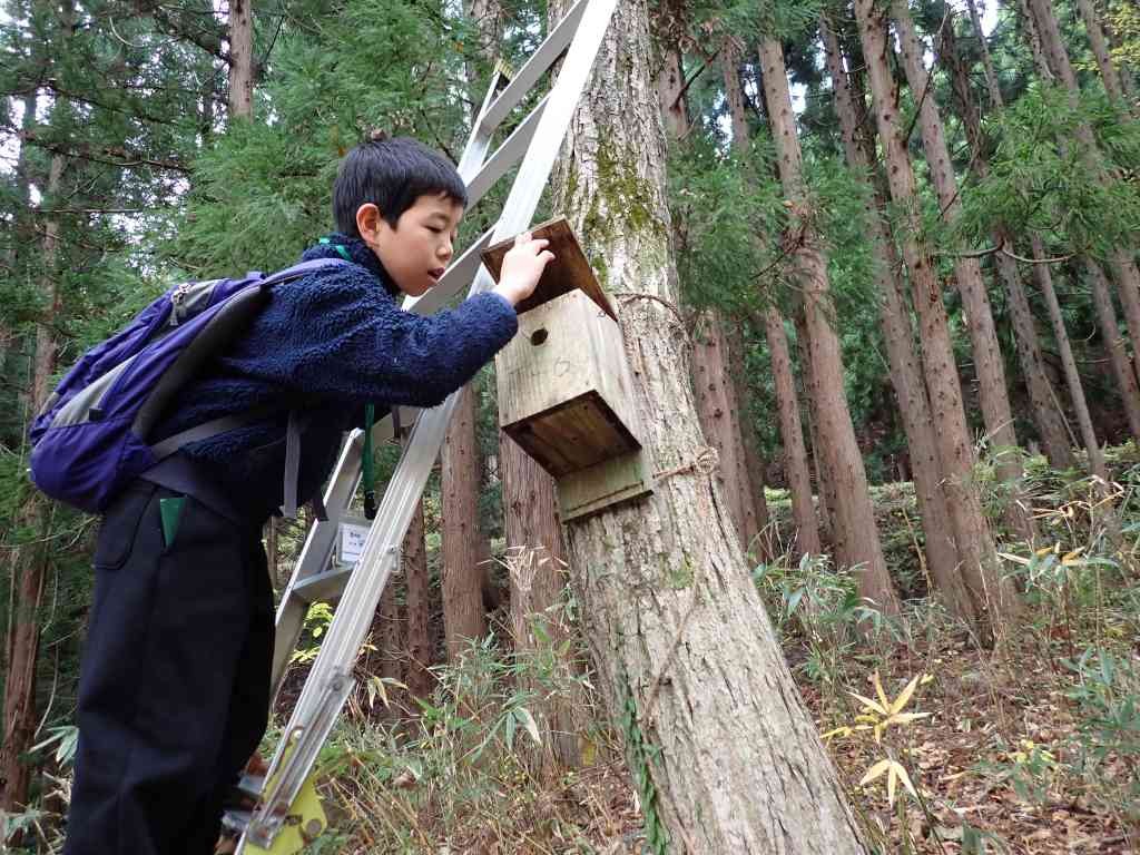 鳥取県八頭郡若桜町のイベント「【要予約】親子自然研究クラブ　巣箱調査」のイメージ