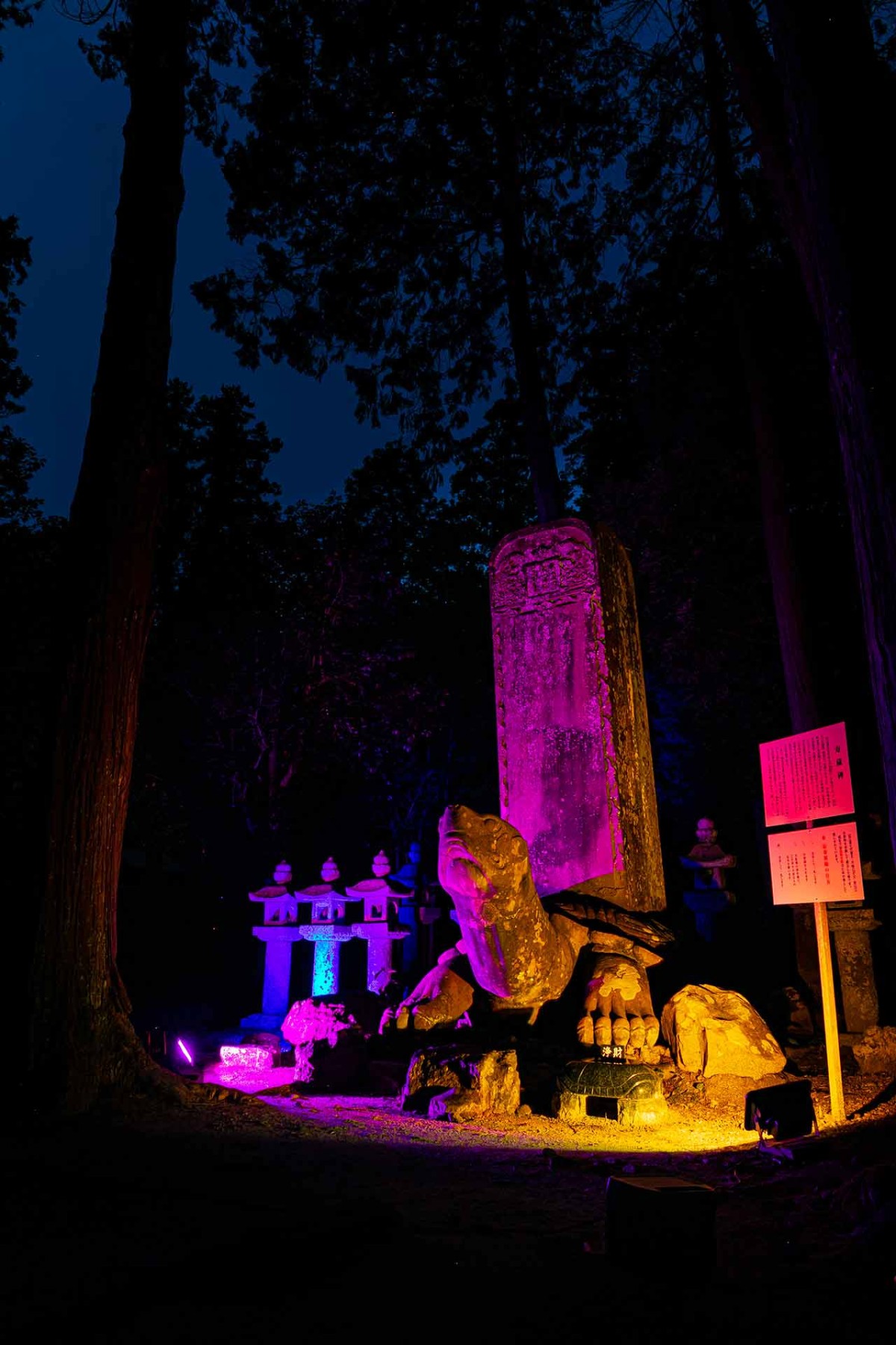 島根県松江市で行われる「夜間拝観イベント「ライティング月照寺」」の境内