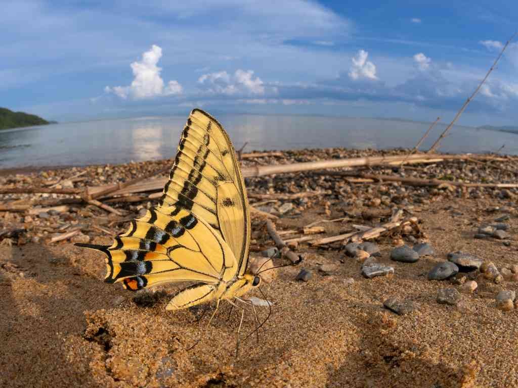 島根県大田市のイベント「冬の企画展　第46回SSP展「自然を楽しむ科学の眼」」のイメージ