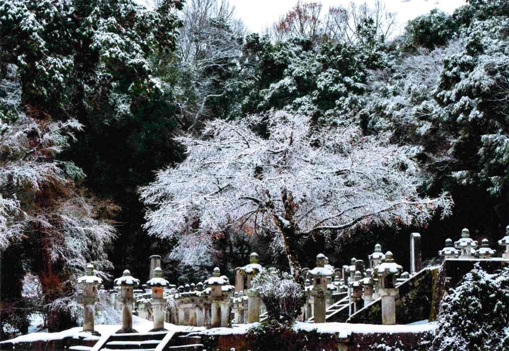 鳥取県鳥取市のイベント「第１８回　池田家墓所写真コンクール作品展」のイメージ