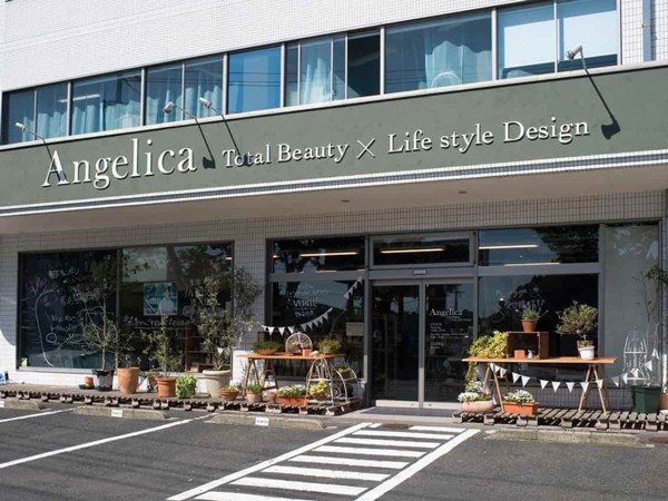 アンジェリカの求人募集用の画像