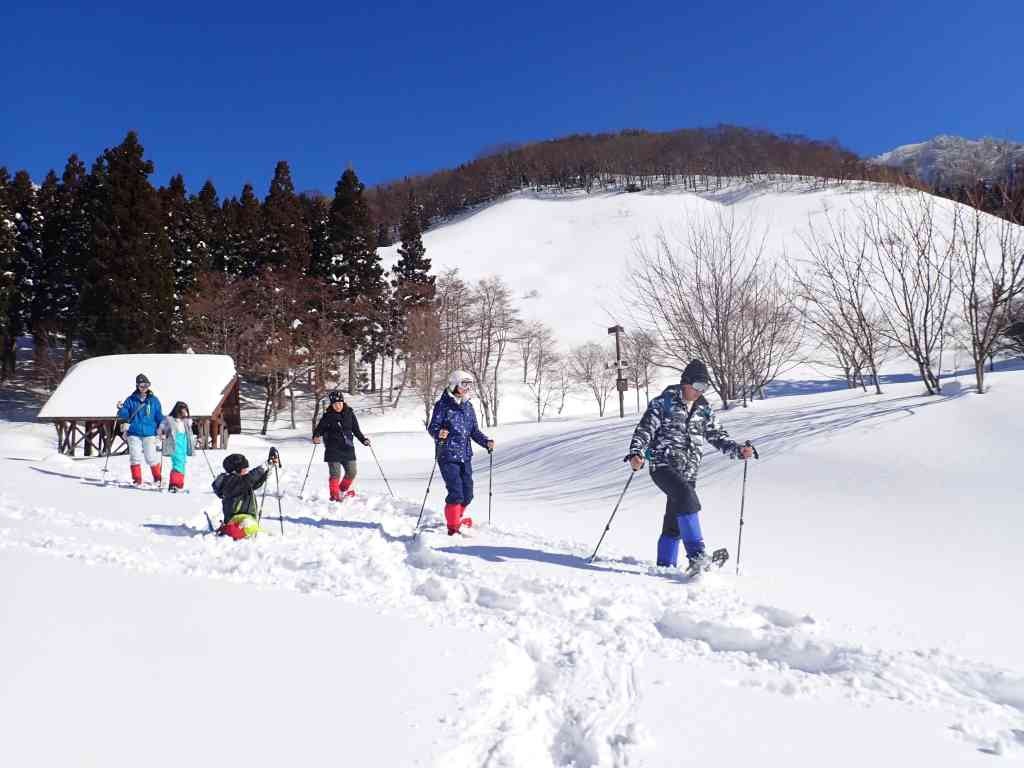 鳥取県八頭郡のイベント「【要予約】スノーシューハイク「おためしスノーシュー」」のイメージ