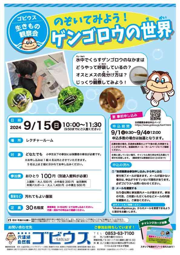 島根県出雲市のイベント「【要予約】ゴビウス生きもの観察会「のぞいてみよう！ゲンゴロウの世界」」のチラシ