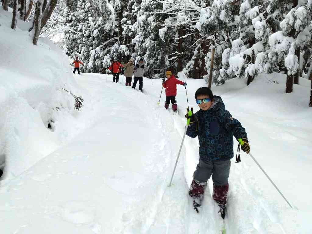 鳥取県八頭郡若桜のイベント「【要予約】バックカントリーをスキーで滑ってみよう！」のチラシ
