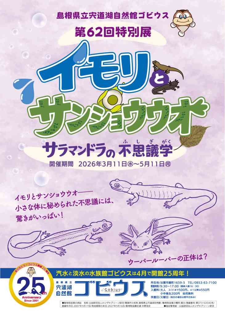 島根県出雲市のイベント「第62回特別展｢イモリとサンショウウオ〜サラマンドラの不思議学〜｣」のチラシ