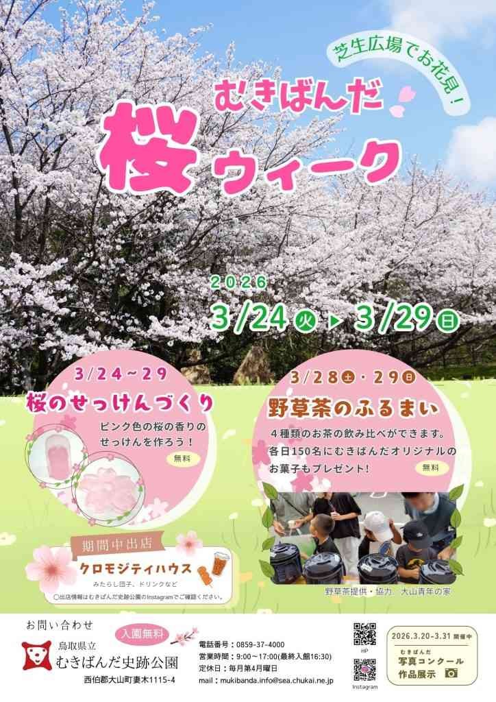 鳥取県西伯郡大山町のイベント「むきばんだ桜ウィーク」のチラシ