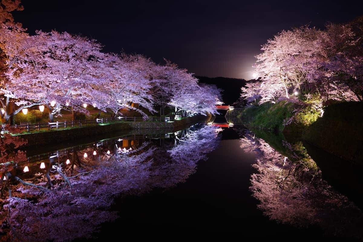 鳥取県鳥取市の桜・お花見イベント「鹿野桜まつり」のイメージ