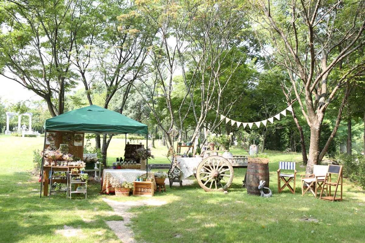 鳥取県西伯郡大山町で開催されるイベント「あけまの森マルシェ」のイメージ