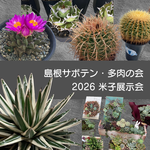 鳥取県米子市のイベント「島根サボテン・多肉の会 米子展示会2026」のイメージ