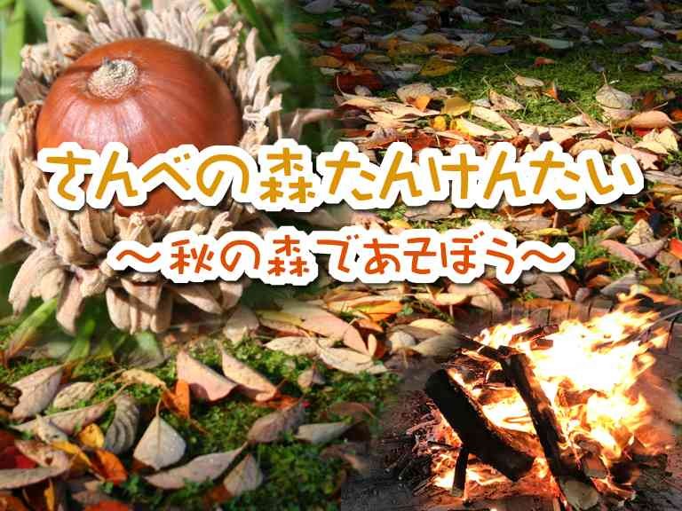 島根県大田市のイベント「【要予約】さんべの森たんけんたい～秋の森であそぼう～」のチラシ