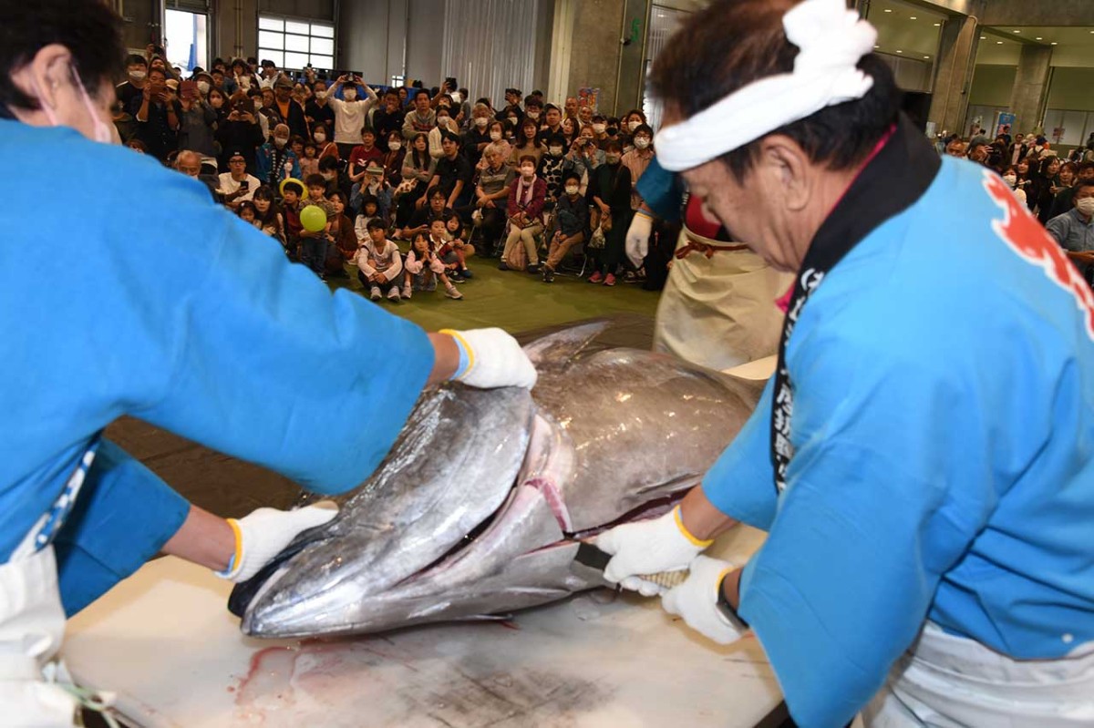 鳥取県境港市で開催されるイベント「第38回境港水産まつり」のイメージ