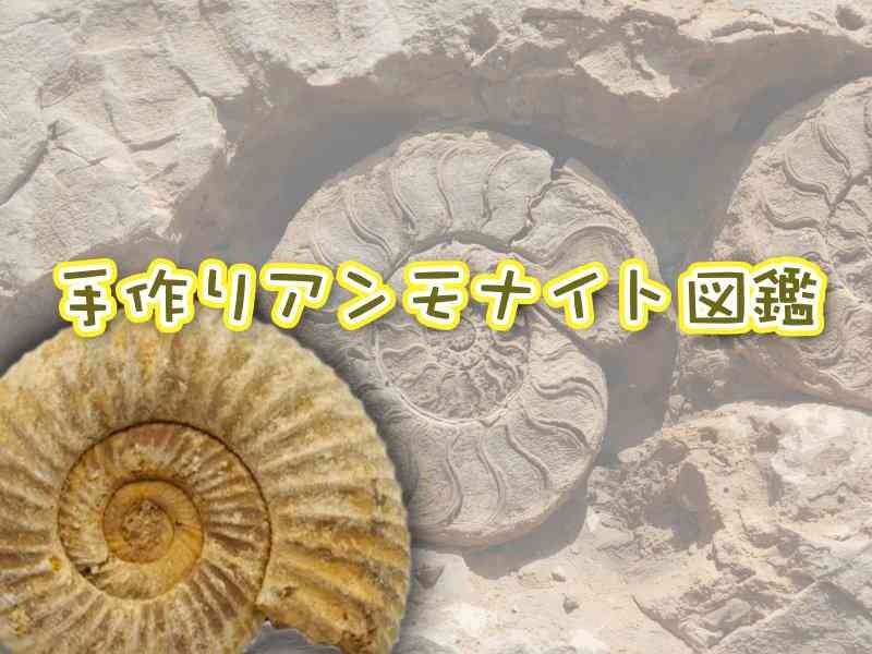 島根県大田市のイベント「【要予約】手作りアンモナイト図鑑」のイメージ